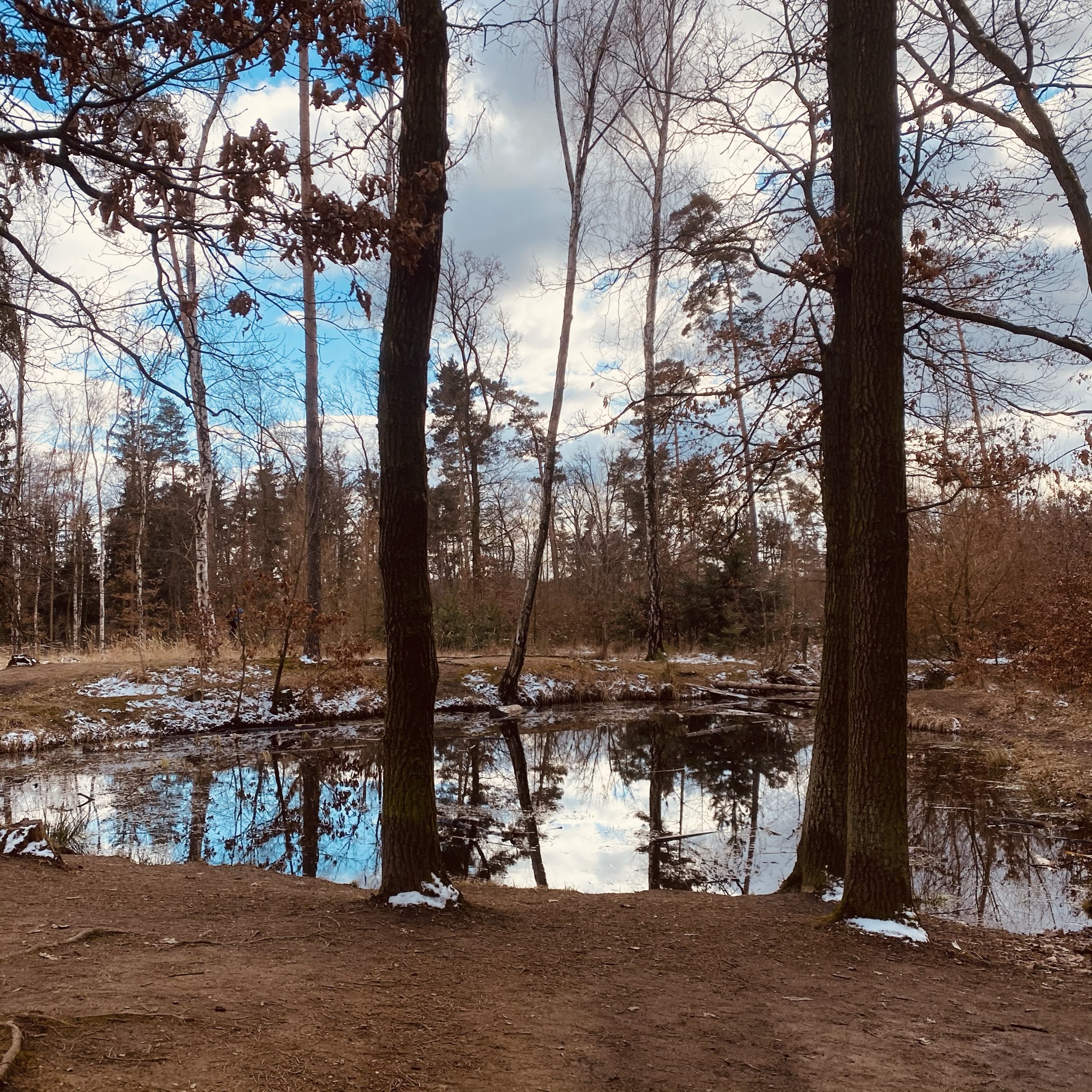 Pražská oáza klidu